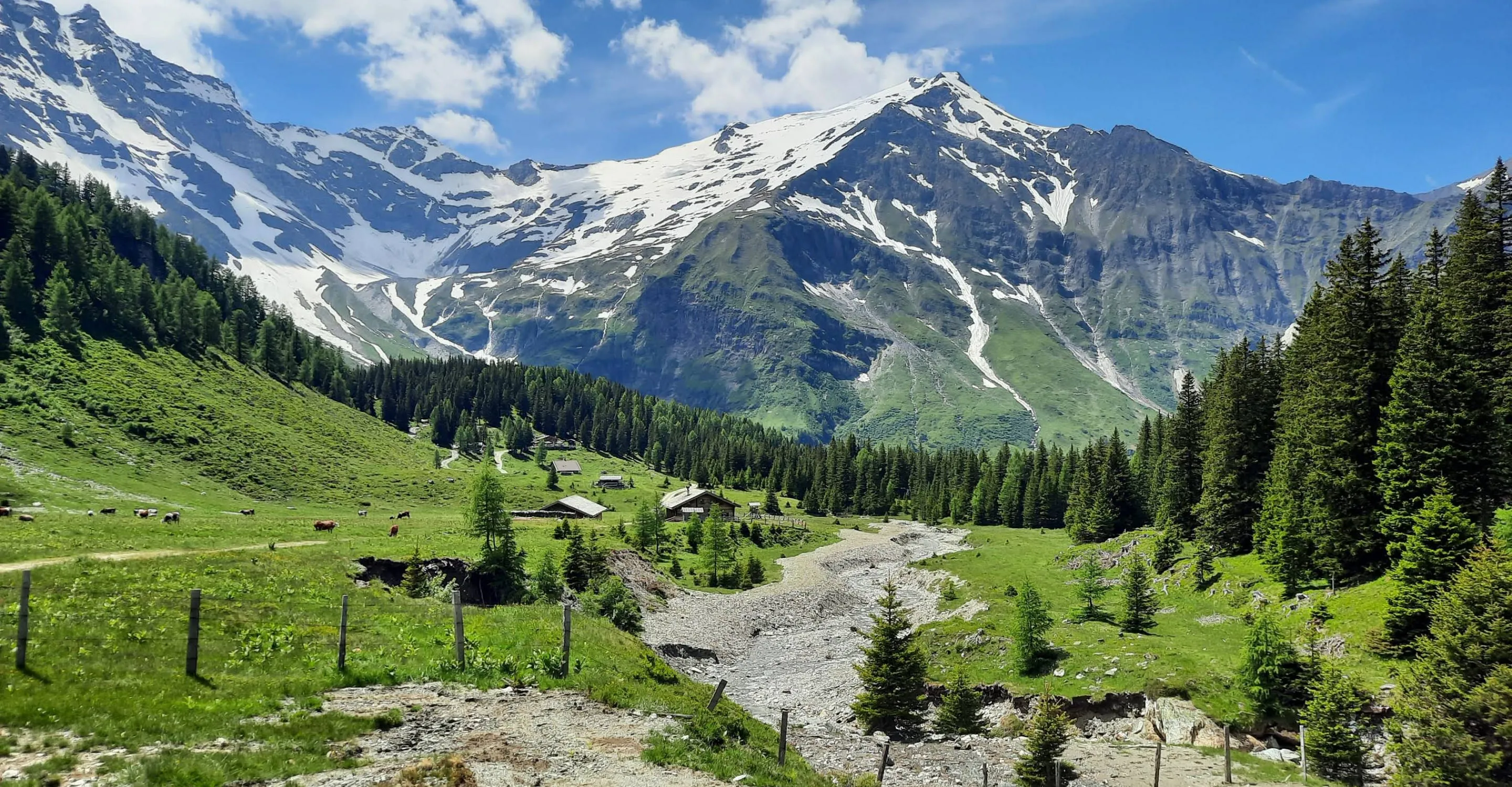Berglandschaft mit grünen Wiesen und schneebedeckten Gipfeln.