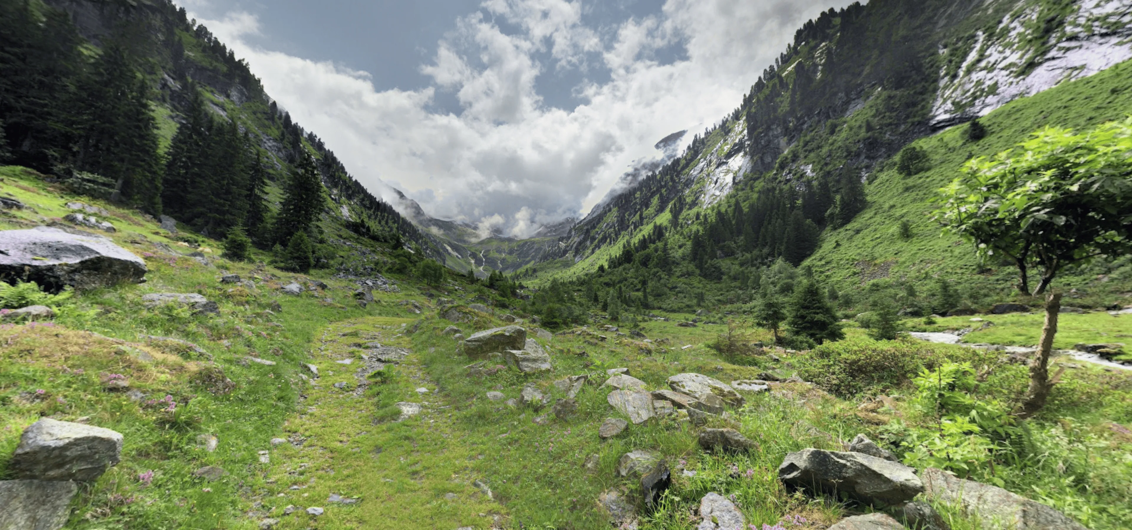 Blick auf einen grünen Talweg mit Bergen im Hintergrund
