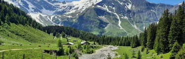 Berglandschaft mit Wiesen, Bäumen und schneebedeckten Gipfeln