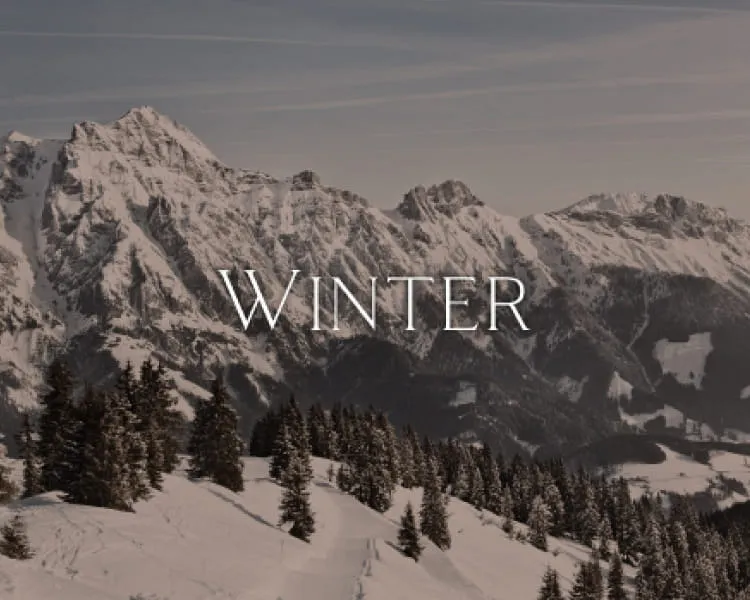 Schneebedeckte Berge mit dem Text 'WINTER'