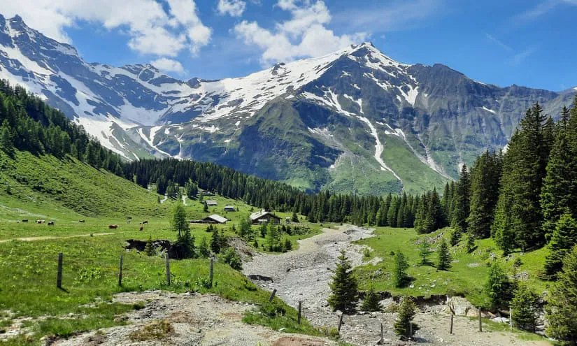 Berge und Wiesenlandschaft mit schneebedeckten Gipfeln